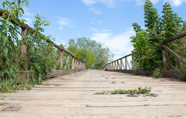 Bridge over the river with plants