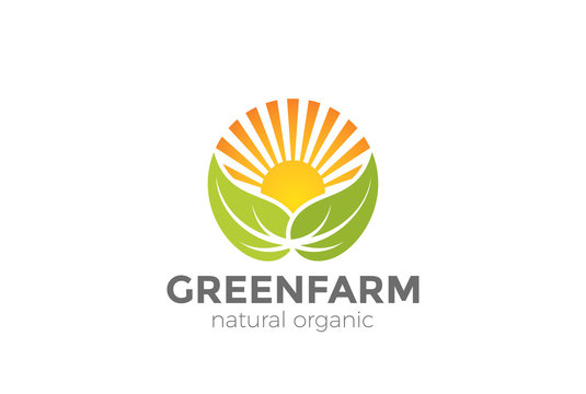 Green Natural Organic Farm Logo vector. Sun Leaves circle icon