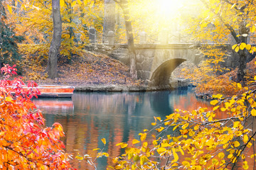 Stone bridge in a park in the autumn under a bright sun