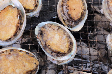 アワビの網焼き