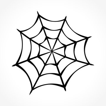 spider web on white background