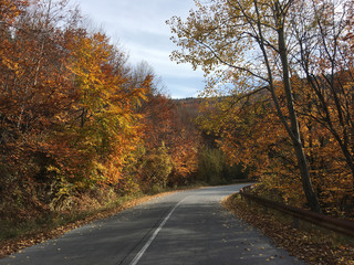 Fototapeta premium Driving through an autumn forest
