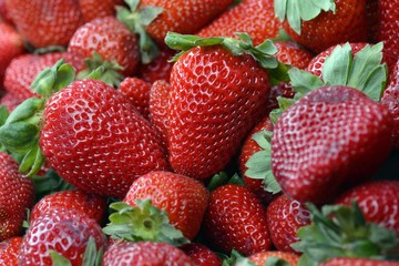 Fresas