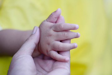 an adult woman holding a baby hand