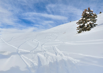 Fototapeta na wymiar empreintes de ski dans la neige 
