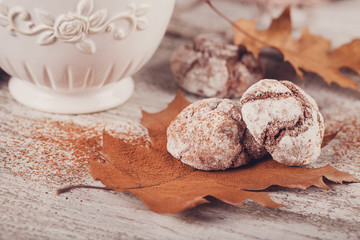 Autumn still life with cup of cocoa and chocolate cookies