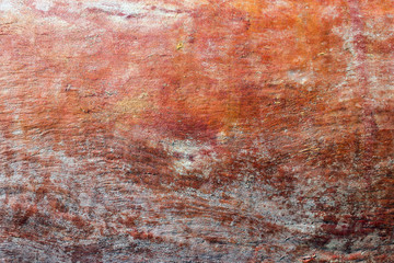  Eucalyptus tree bark texture.  Bright, natural background.