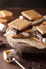 homemade marshmallow s'mores with chocolate on crackers