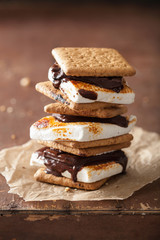 homemade marshmallow s'mores with chocolate on crackers