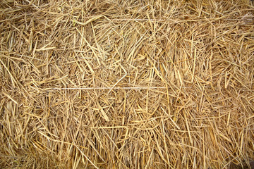 Close up of straw background texture.