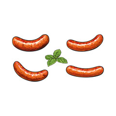 Set of four freshly grilled, barbequed processed meat sausages, sketch style vector illustration on white background. Realistic hand drawing of German sausages grilled, fried, BBQ, picnic food