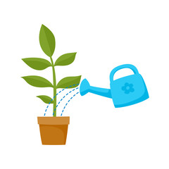 vector flat cartoon green plant in the ceramic pot and blue watering can pouring it. Isolated illustration on a white background. Daily routine concept