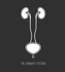 Urology medical icon