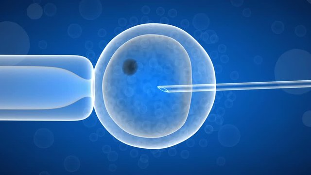 artificial insemination of a female egg. 3d render