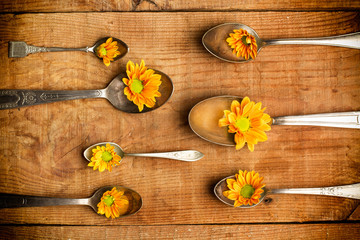 Margaritas y cucharas de plata