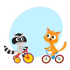 Cute little raccoon and cat characters riding bicycles together, cartoon vector illustration with space for text. Baby raccoon and cat animal characters riding bicycle and tricycle