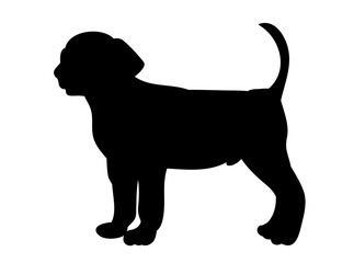  isolated black silhouette of dog stands on white background