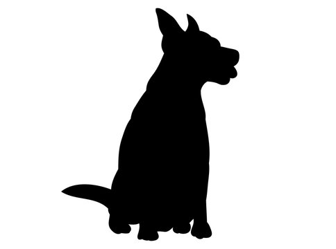 vector, isolated black silhouette of a dog sitting on a white background