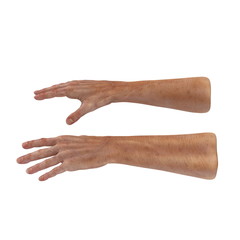 Senior hands on a white. 3D illustration