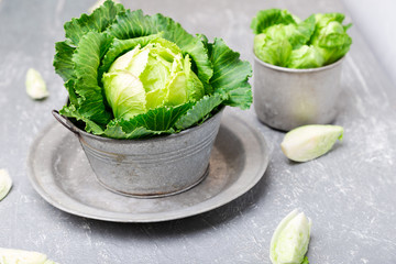 Fototapeta na wymiar Fresh green cabbage in metal plate on grey background. Close up