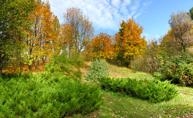 panoramic image of the autumn park in October