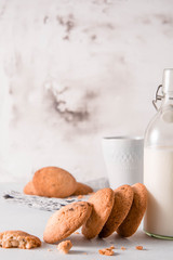 Chocolate chip cookies with milk in bottle.