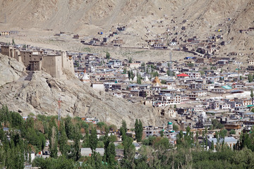 Obraz premium Leh Palace, India
