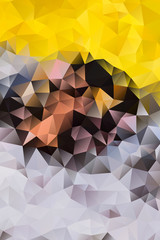 vector abstract background of triangles