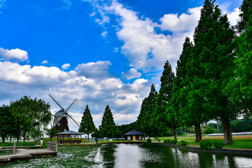 Fototapeta premium 風車と空