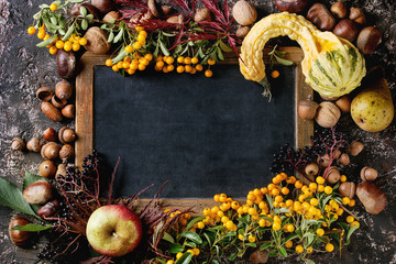 Frame from autumn berries, pumpkin, leaves and nuts with empty vintage chalkboard over brown...