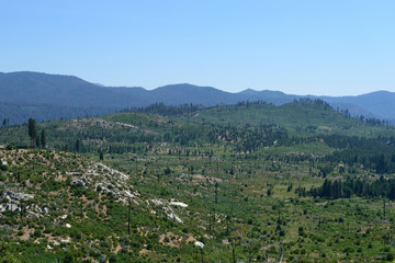 Fototapeta na wymiar Mountain landscape in Yosemite National Park, California, USA