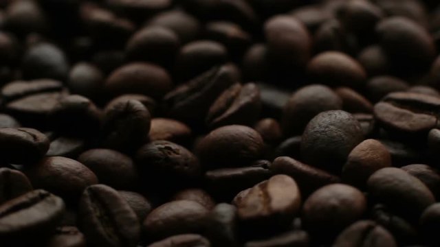 The Coffee Beans
