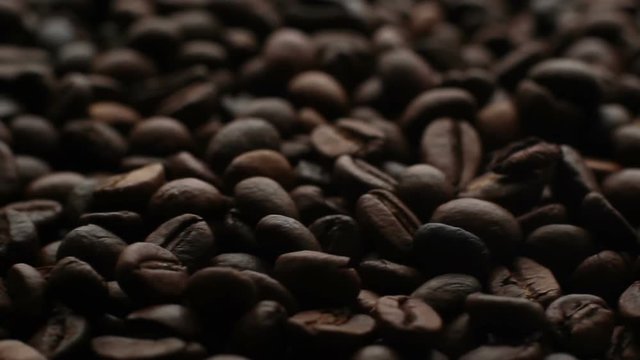 The Coffee Beans