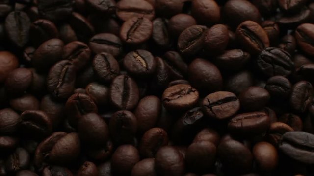 The Coffee Beans