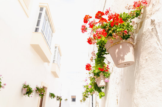 Andalusian decorative plantpots with red an pink geraniums hanging on the walls of the street