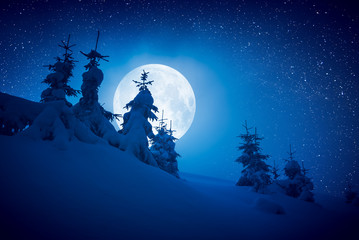 Fantastic bright stars in a sky