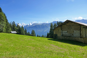Fototapeta na wymiar aussicht vom niederhorn, alpen, schweiz 