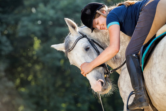 Fototapeta Woman riding a horse on paddock, horsewoman sport wear