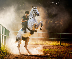 Woman riding a horse in dust, beautiful pose on hind legs