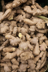heap of ginger root Ginger background A bunch of ginger on the counter of a vegetable supermarket for sale top view