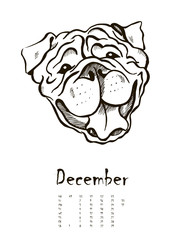 calendar with portraits of dogs