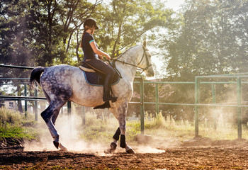 Woman riding a horse in dust on paddock