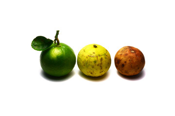 three of lemons ,the fresh ,the old and the rotten on white background isolated