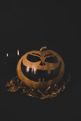 pumpkin for halloween and dried leaves