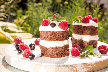 Chocolate cake decorated with raspberry, black currant, wipped cream and mint.