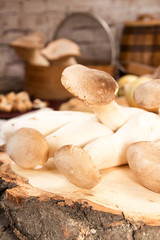 Oyster mushrooms king mushrooms on wooden background. Preparing oyster mushrooms king mushrooms.