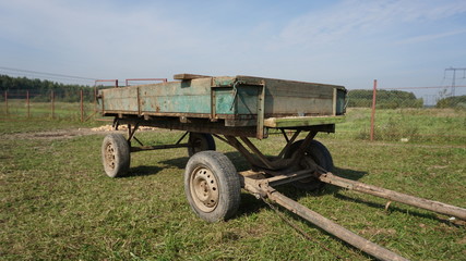 Horse on a farm