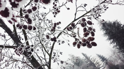 Processed with VSCOcam with f2 preset