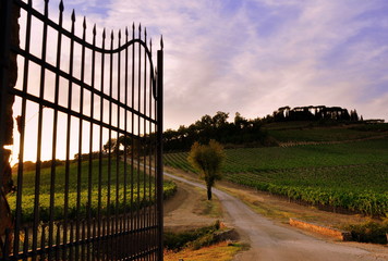 Einfahrt zu einem Weingut auf einem Hügel im Chianti