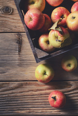 Box with ripe apples on wooden background